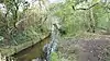 Sir Joseph Hood Memorial Wood and Beverley Brook