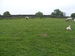 Site of Milecastle 23