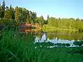 The shore of the Oredezh River in Siversky