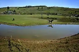 Sjenica Lake