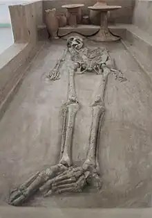 A skeleton from Rakhigarhi Indus Valley civilisation on display in the National Museum, New Delhi