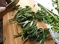 Slicing lotus leaves