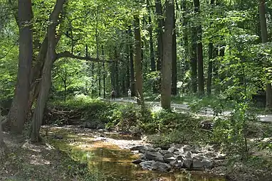 Sligo Creek with the Sligo Creek Trail in the background.