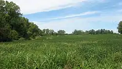 Countryside in the township