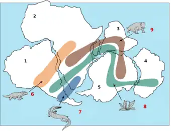 Caption: 1-South-America
2-Africa; 3-India; 4-Australia; 5-Antarctica; 6-Fossil remains of Cynognathus, a Triassic land reptile, approximately 3m long; 7- Fossil remains of the freshwater reptile Mesosaurus;
8-Fossil of the fern Glossopteris found in all of the southern continents show that they were once joined; 9-Fossil evidence of the Triassic land reptile Lystrosaurus