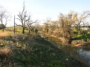 Oyster Creek at the FM 290 bridge in Snipe