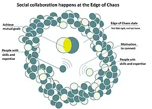 Social collaboration happens at the edge of chaos