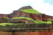 Paharpur with green grass