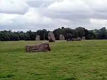 Large stones, some lying and some standing on end in grassy area.