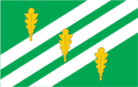 Flag of Sonda Parish