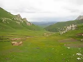 Landscape view in meadow and shrub zone of Southeastern Tibet (to which P. ludlowii is native)