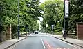 Looking northwards along Taggart Avenue