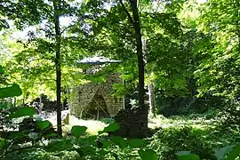 Area view of the ruin