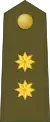 Spanish Army(Teniente Coronel)