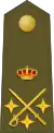 Teniente General