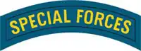 Special Forces Tab