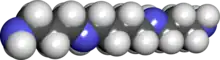 Spacefill model of spermine