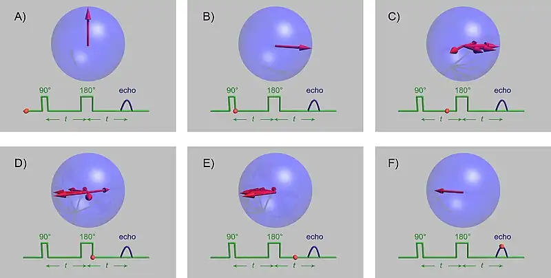 The spin-echo sequence