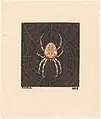 Spider in a web (1918)