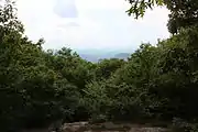 View from Springer Mountain in May