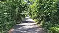 Tree tunnel in Srirampuram village, Rajamahendravaram, Andhra Pradesh, India