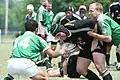 Sean Roy goes into contact vs Naples, Florida