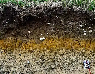 Layers of soil in Ireland. Dark brown soil usually contains a high amount of decayed organic matter.