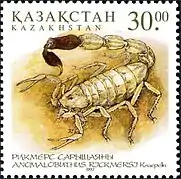 Anomalobuthus rickmersi on a Kazakhstan postage stamp, 1997