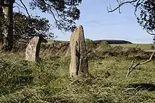 standing stones