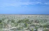 Largely barren interior of Starbuck Island