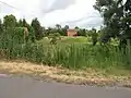 Houses in the nature