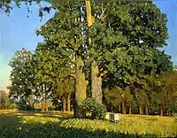 Anokhin, Old Oaks, 1999