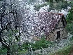 Church in spring