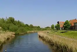 Northern City Dike, Steenbergen