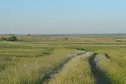 Steppe landscape in Kurmanayevsky District