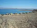 A campsite with chalets at the water's edge. Note the dry conditions (conducive to bush fires) in the wintertime.