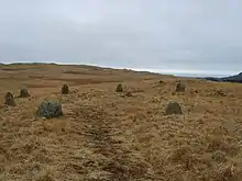 Photo of two stone circles