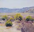 Rabbitbrush in the Desert - California, 1928