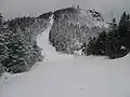 Looking up towards Mt. Mansfield's summit.