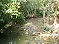 Stream at the foot of the mountain.