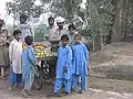 Street vendor selling guavas and oranges