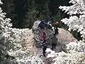 Students from the Faculty of History and Geography at practice in the mountains