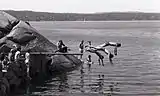 Swimming and diving from the rocks in Hvervenbukta 1975