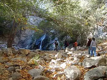 Formation at Sturtevant Falls