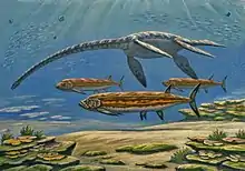 Large marine predators of the late Cretaceous; Pliosauroidea and Xiphactinus. Also, huge oyster-encrusted clams.