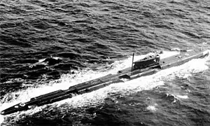 Fourteen Echo II-class submarines were upgraded to carry the P-500, and three of those went on to receive the P-1000 Vulkan. The distinctive notches on the Echo's hulls redirect the exhaust of the P-500 during launch.