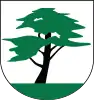 Coat of arms of Horní Suchá