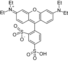 Sulforhodamine B