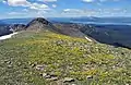 Summit of Avalanche Peak