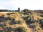 Three round barrows on Withycombe Common, 360 m north of Fire Tower